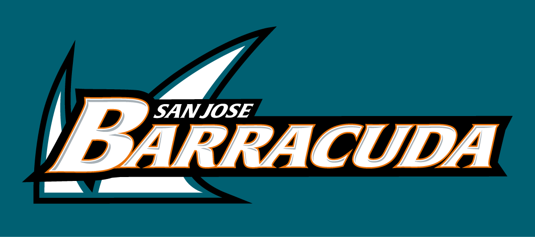 San Jose Barracuda 2015-2018 Wordmark Logo v2 iron on transfers for T-shirts